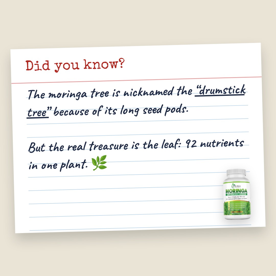 Did you know? ad, Square 1080×1080