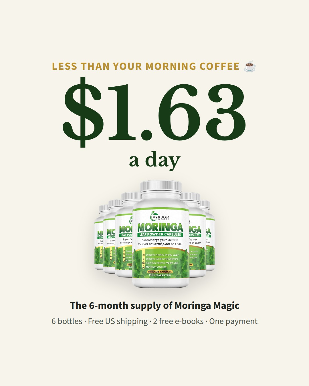 $1.63 a day ad, Feed 1080×1350