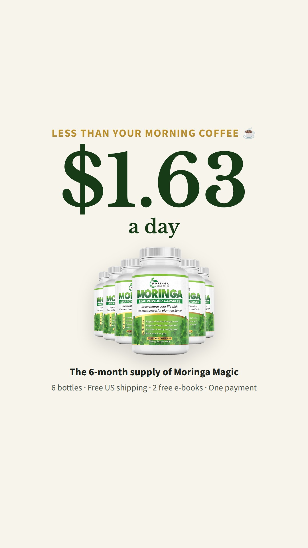 $1.63 a day ad, Stories/Reels 1080×1920