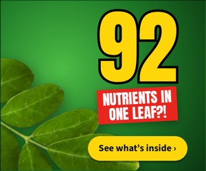 92 in one leaf?! banner, 300 by 250