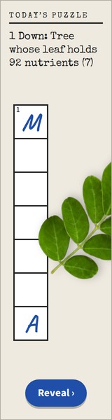 Crossword banner, 160 by 600
