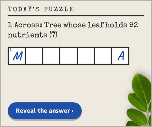 Crossword banner, 300 by 250