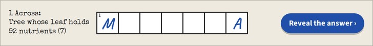 Crossword banner, 728 by 90