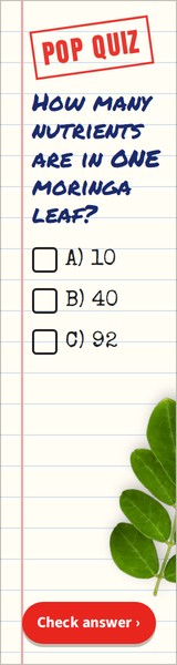 Pop quiz banner, 160 by 600
