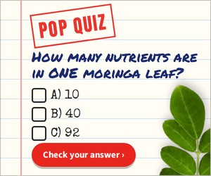 Pop quiz banner, 300 by 250