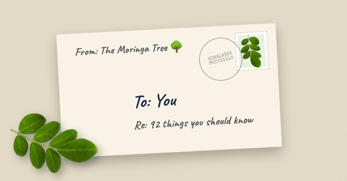 Letter from a tree native thumbnail