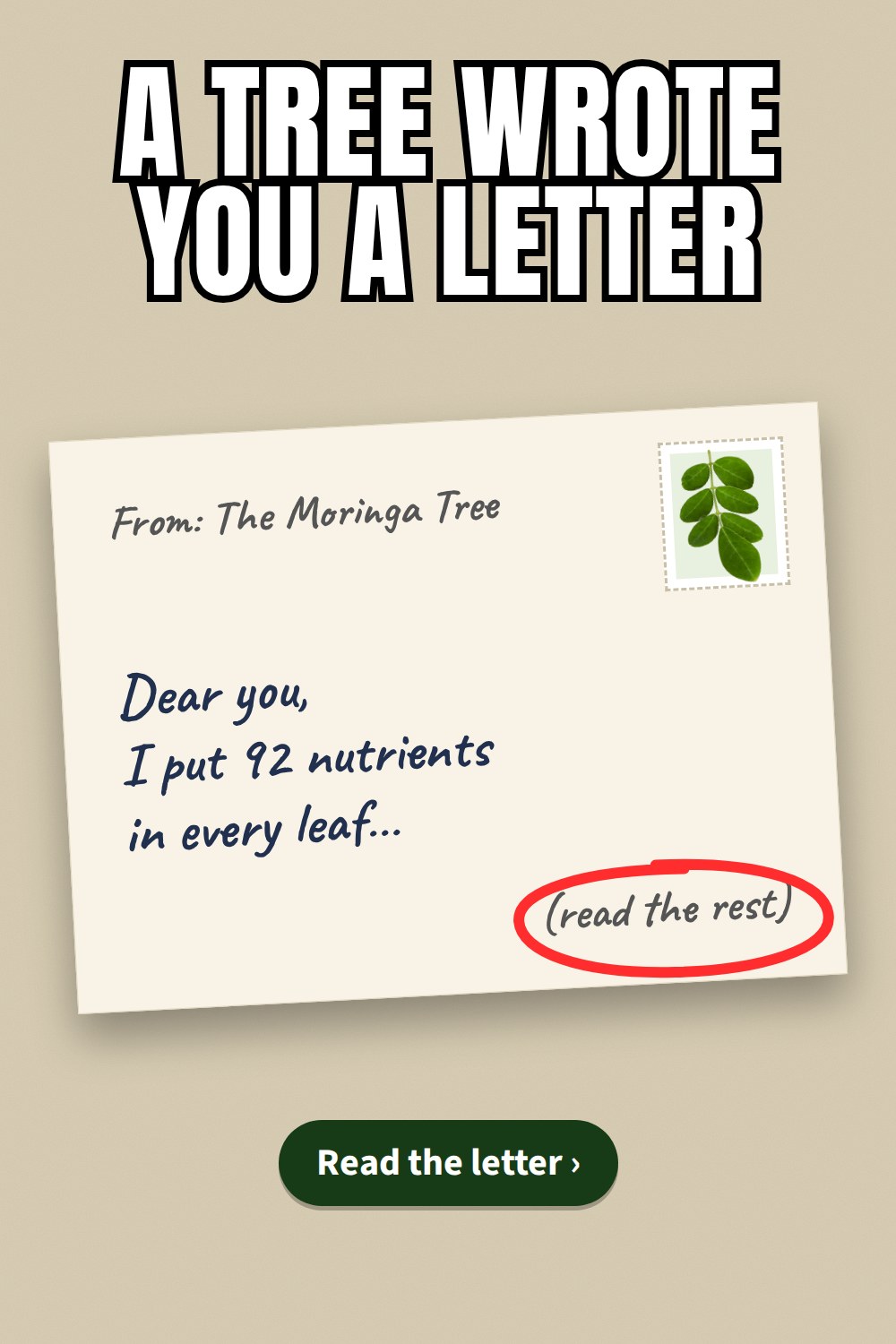 Letter from a tree pin