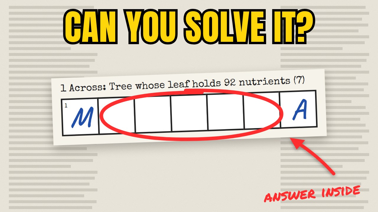 Can you solve it? thumbnail