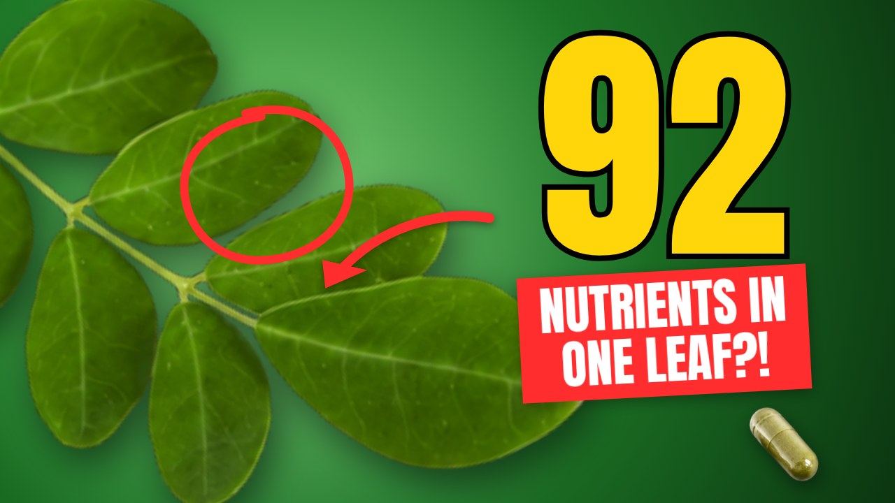 92 in one leaf?! thumbnail